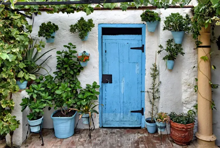 Rustic blue door surrounded by vibrant potted and hanging plants in a sunny patio. Stock Photo