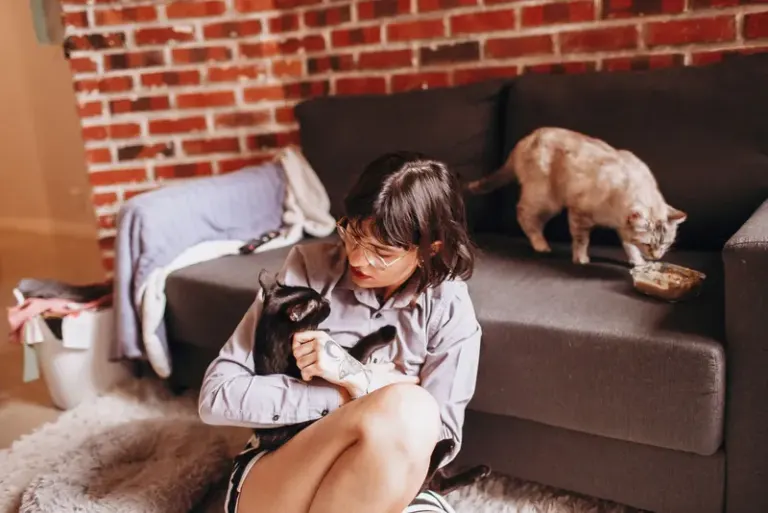 A woman lovingly cuddles a black cat indoors while another cat eats on the couch. Stock Photo