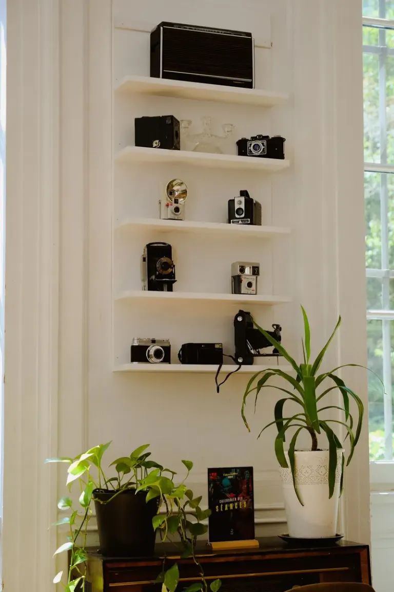 Decorative wall shelves with vintage cameras and potted plants in a well-lit home interior. Stock Photo